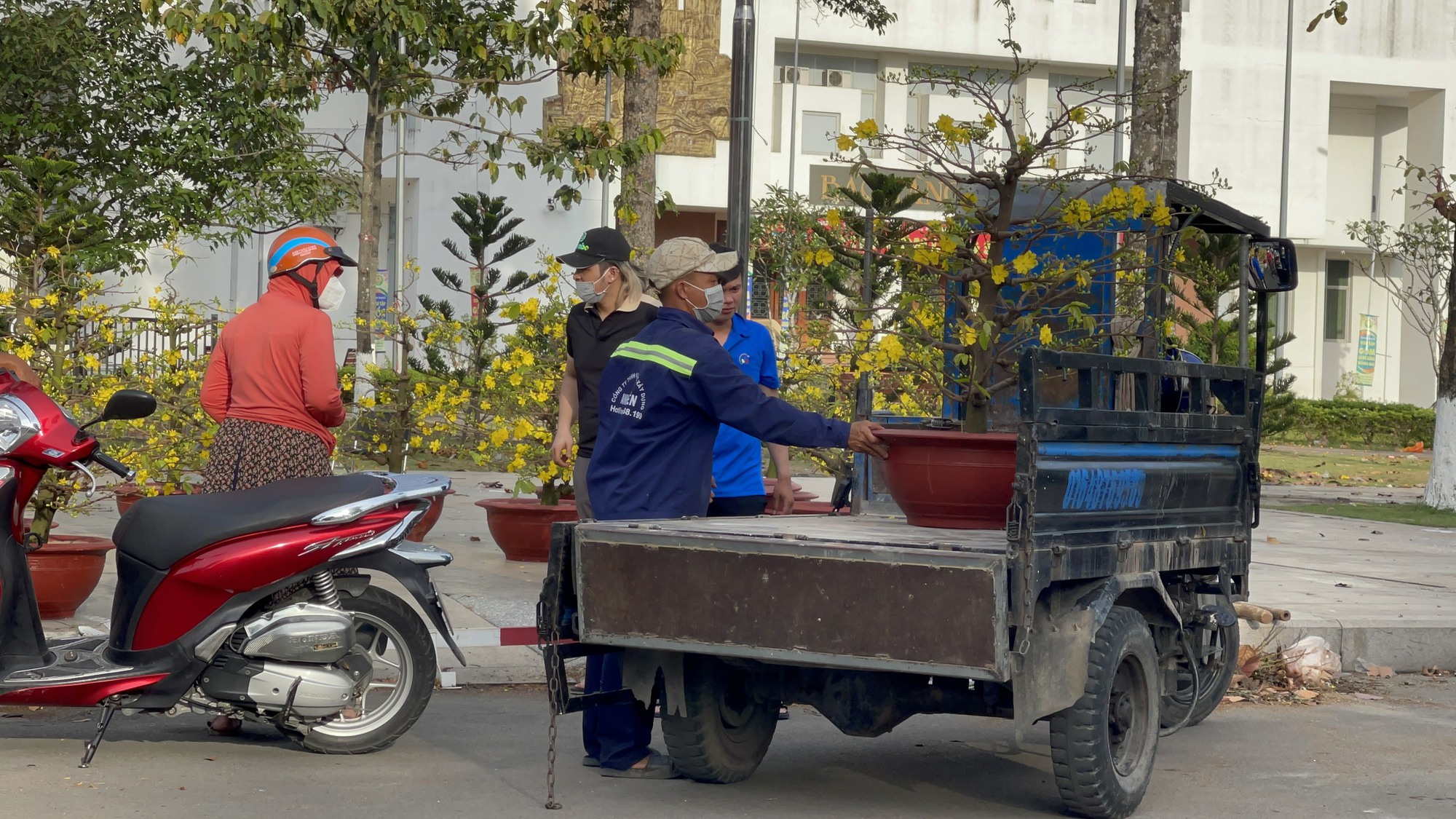 Chiều 30 tết, hoa kiểng hạ giá mạnh - Ảnh 4.