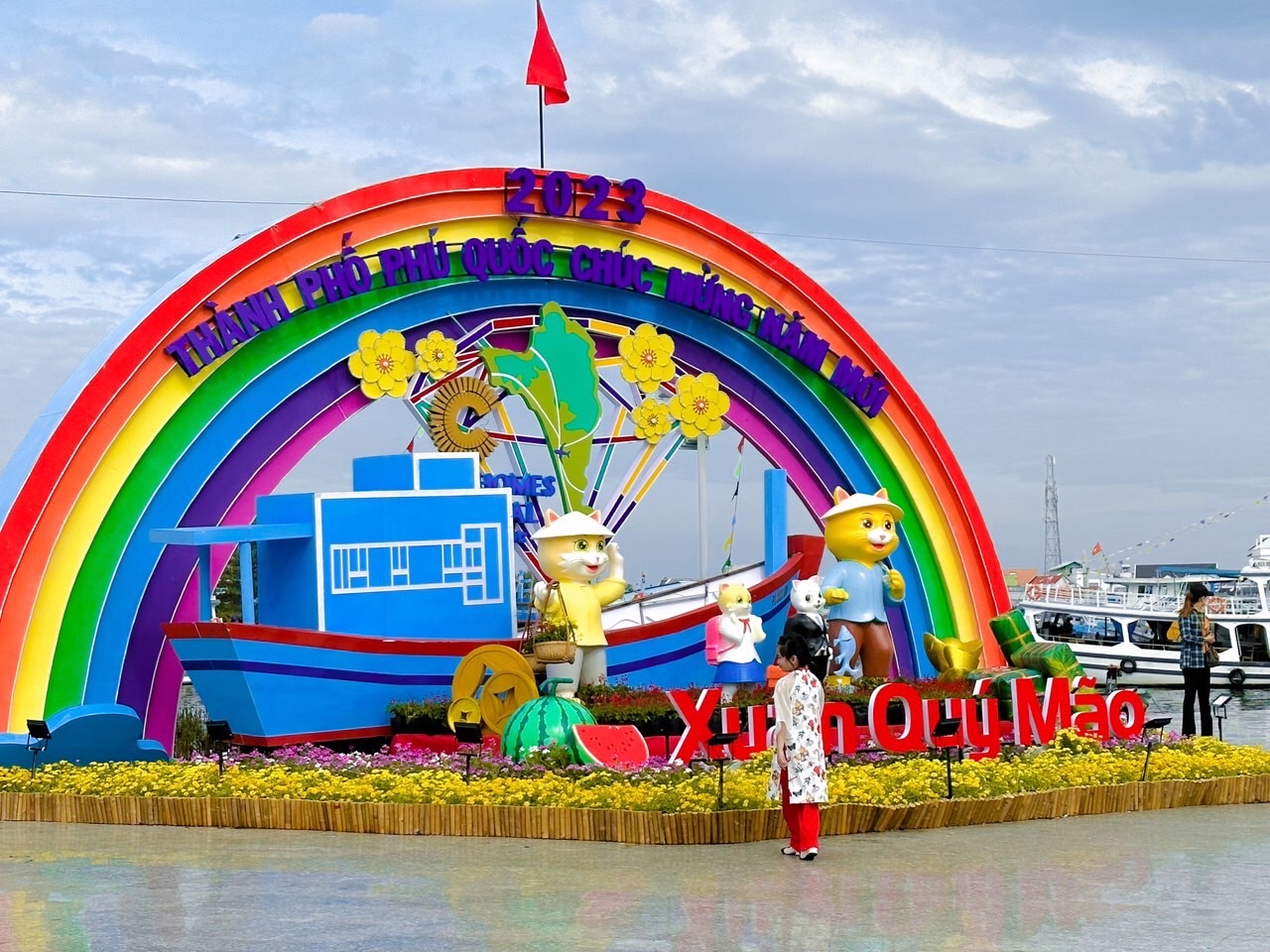 Độc đáo mèo ốp lá sen ở Đồng Tháp, mèo rô-bốt tại Phú Quốc - Ảnh 4.