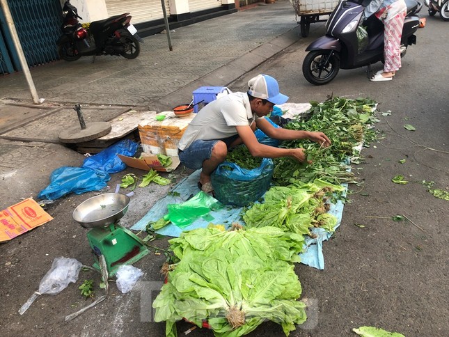 Mùng 2 Tết, giật mình với giá rau xanh - Ảnh 2.