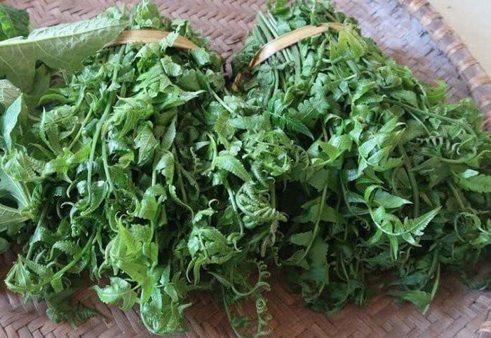 Méo cả mồm mới đọc được tên của những loại rau rừng này nhưng chúng vẫn được rất nhiều người lùng mua  - Ảnh 2.