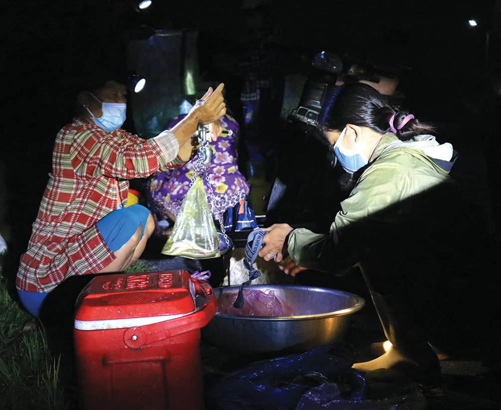 An Giang kỳ thú - Ảnh 4.