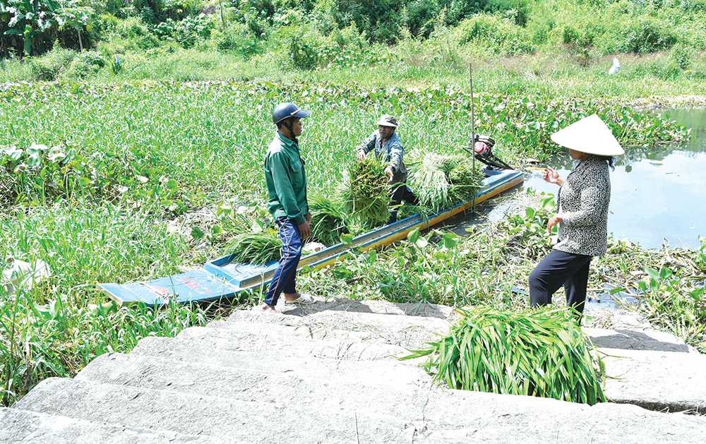 An Giang kỳ thú - Ảnh 5.