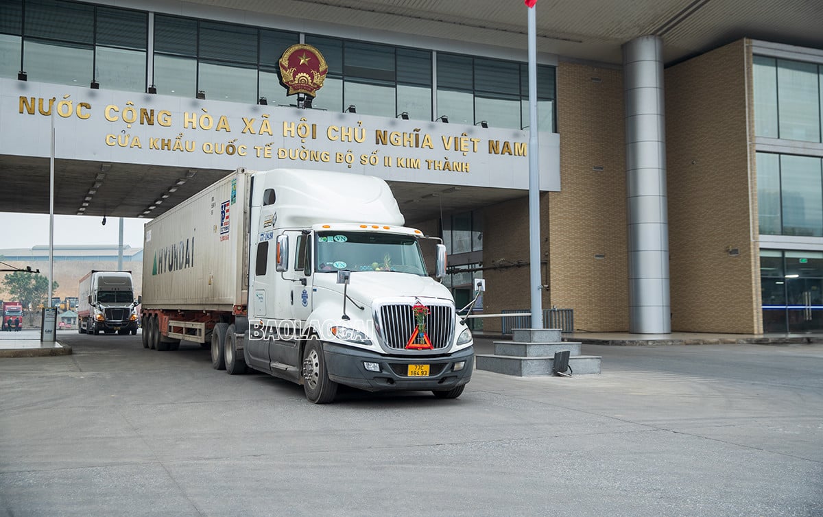 Trung Quốc tăng tốc thu mua, xuất khẩu chuối, thanh long, mít của Việt Nam tăng 10- 20% - Ảnh 1.