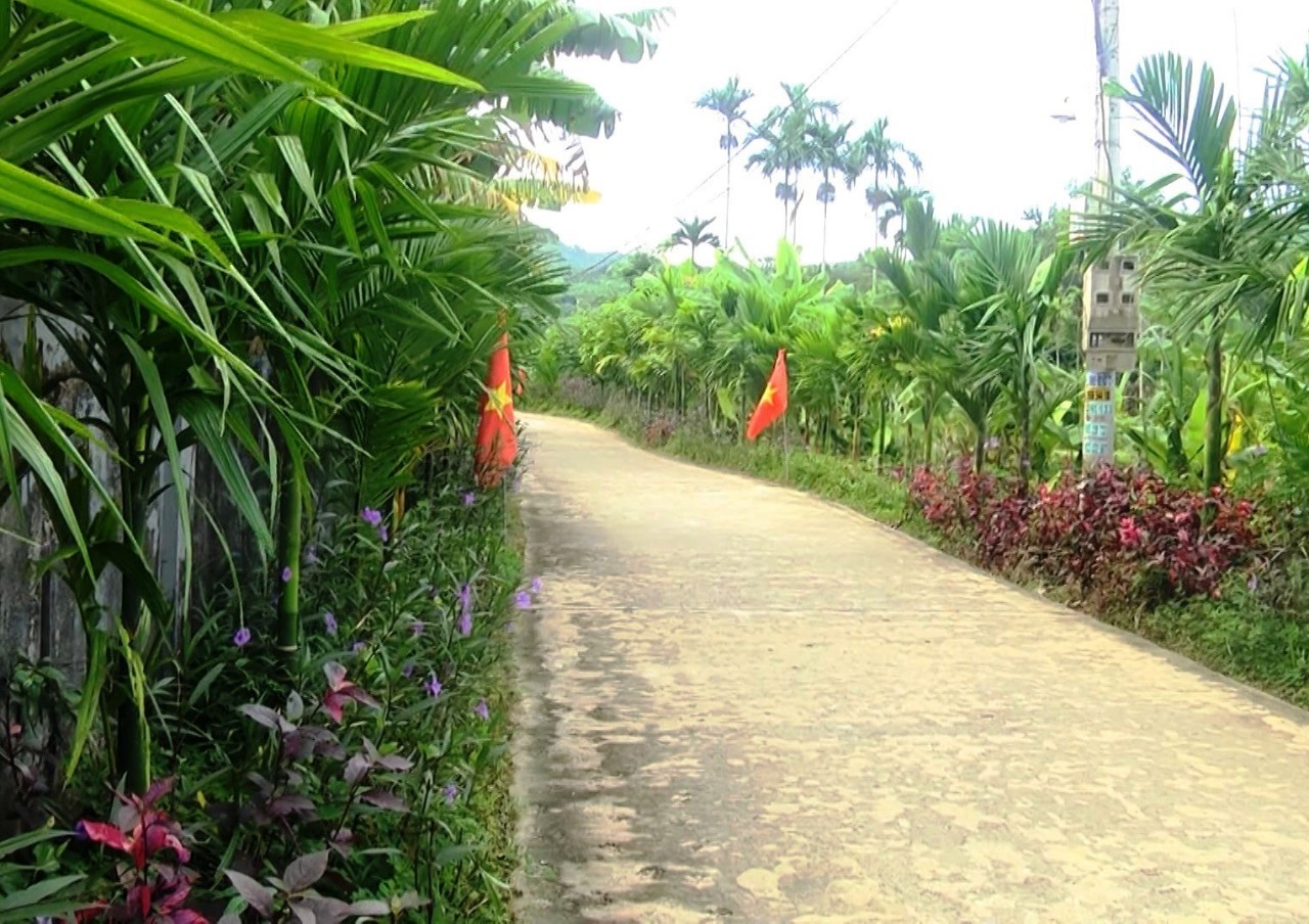 Quảng Nam: Nông dân Quế Sơn làm đẹp cho những con đường quê - Ảnh 2.