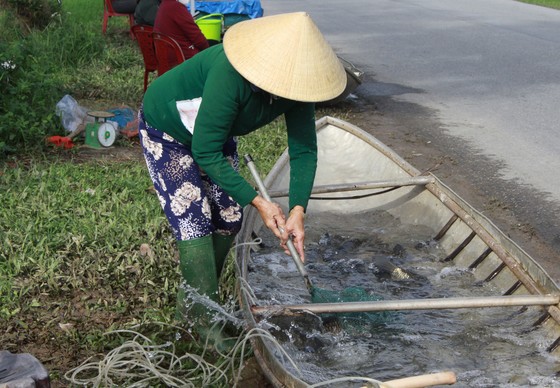  Đưa ghe ra đường bán cá đầu xuân - Ảnh 3.