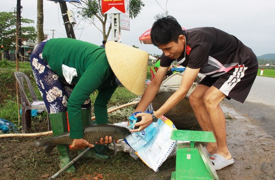  Đưa ghe ra đường bán cá đầu xuân - Ảnh 5.
