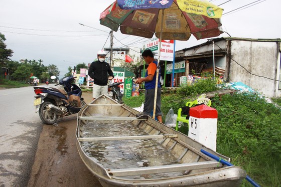  Đưa ghe ra đường bán cá đầu xuân - Ảnh 2.