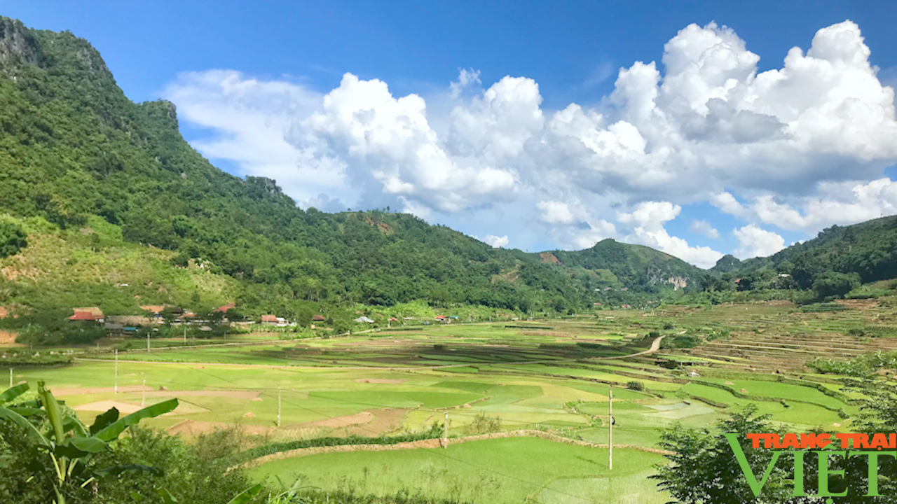 Khăn Piêu trong đời sống đồng bào Thái Đen - Ảnh 2. Khăn Piêu trong đời sống đồng bào Thái Đen - Ảnh 2.