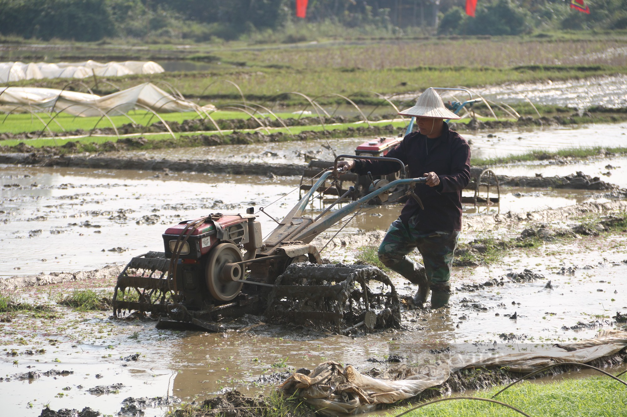  Lễ hội Khai hạ dân tộc Mường Hoà Bình thu hút hàng nghìn người tham gia - Ảnh 10.