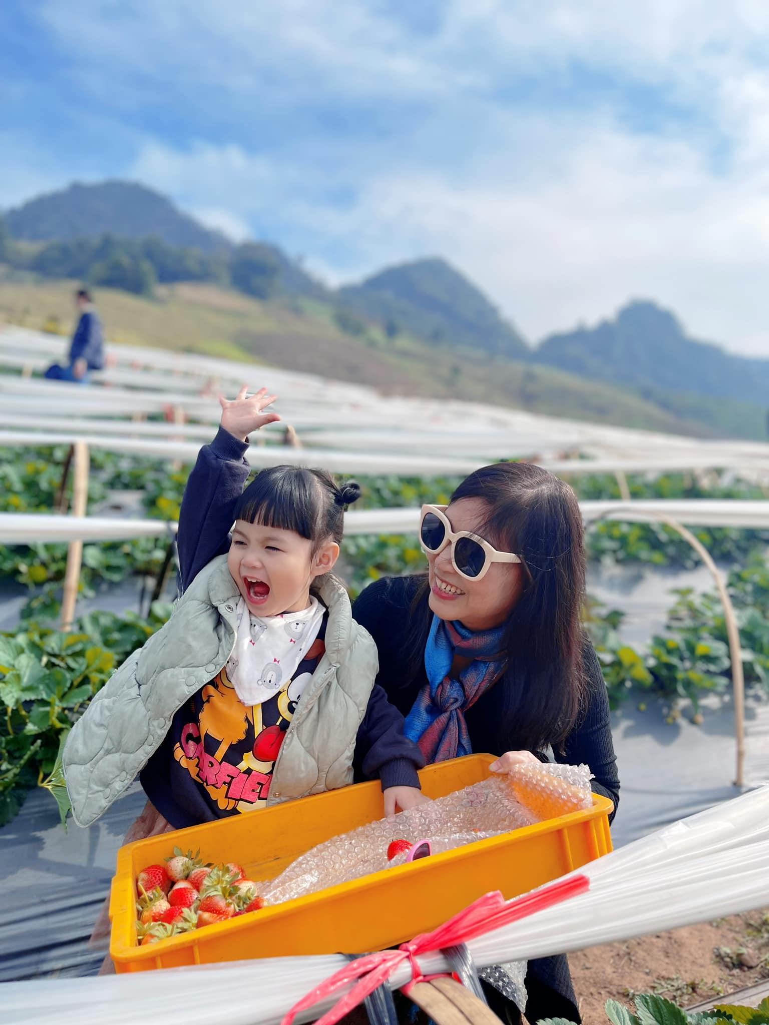 Khám phá vẻ đẹp trong lành, thơ mộng của Mộc Châu - Ảnh 3.