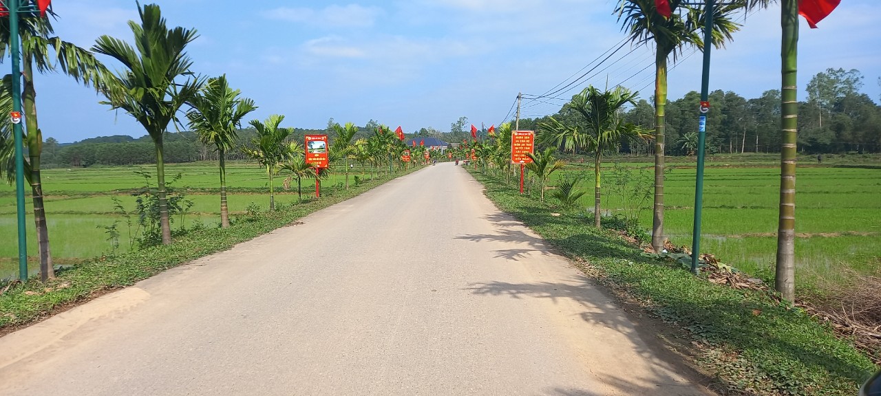 Bồi thường 1 triệu đồng vì nhổ 1 cây hoa trên tuyến đường kiểu mẫu - Ảnh 2.