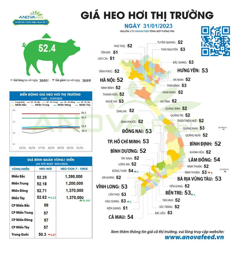 Giá lợn hơi bắt đầu nhích nhẹ sau Tết ở phía Nam - Ảnh 1.