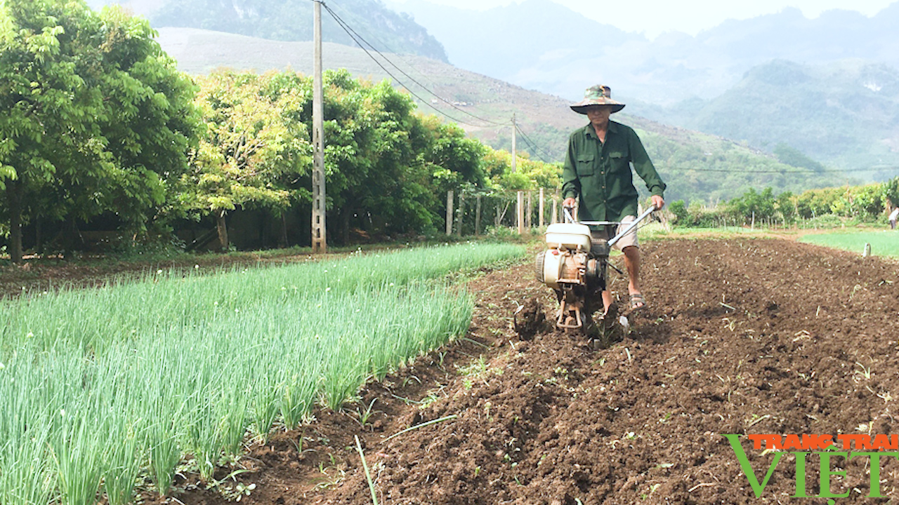 Nông dân vùng cao thay đổi tư duy làm nông nghiệp - Ảnh 2. Nông dân vùng cao thay đổi tư duy làm nông nghiệp - Ảnh 2.