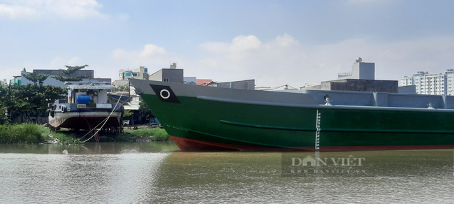 TP.HCM: Có 59 bến thủy nội địa chưa được cấp phép hoạt động - Ảnh 1.