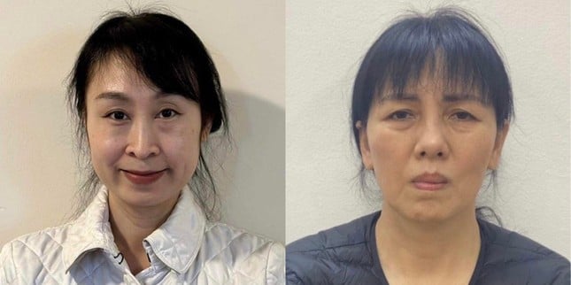 Bắt cựu chuyên viên Nhà xuất bản Giáo Dục và một giám đốc liên quan vụ Công ty Việt Á - Ảnh 1. Bắt cựu chuyên viên Nhà xuất bản Giáo Dục và một giám đốc liên quan vụ Công ty Việt Á - Ảnh 1.