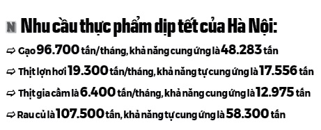 Không để “rau VietGAP rởm” tuồn vào siêu thị - Ảnh 2.