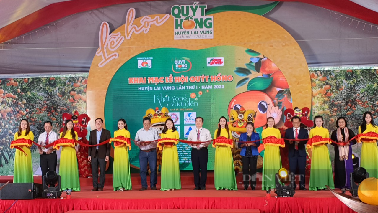 Lễ hội quýt hồng ở Đồng Tháp sẽ cho người dân và du khách những trải nghiệm thú vị - Ảnh 1.