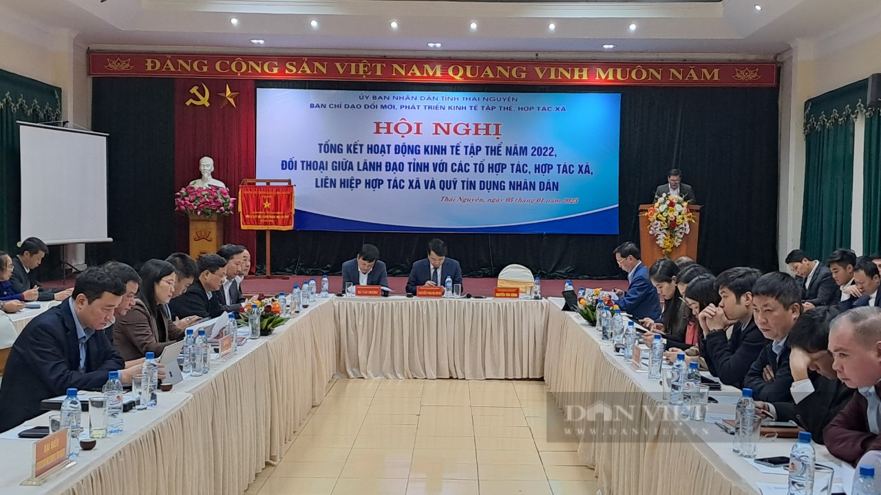 Thái Nguyên tổng kết hoạt động kinh tế tập thể năm 2022 và đối thoại với các tổ chức kinh tế tập thể - Ảnh 1.
