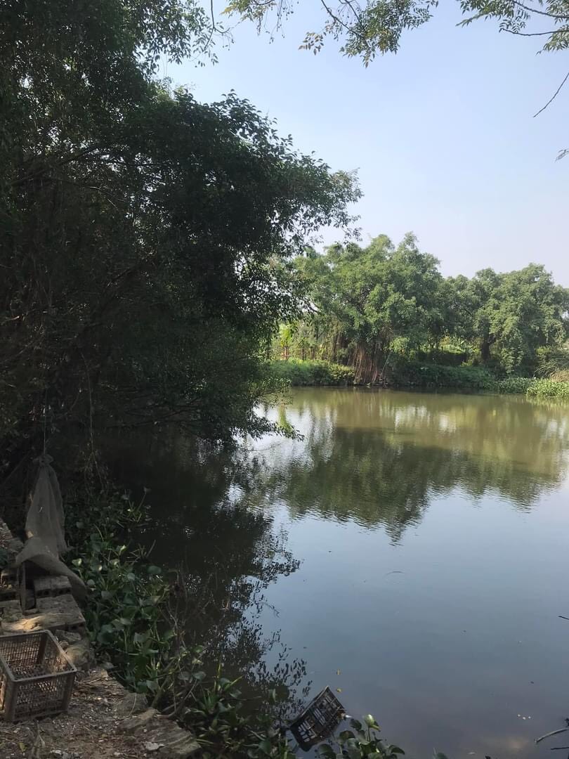Nhà biên kịch Nguyễn Thị Hồng Ngát tiết lộ lý do làm phim &quot;Hồng Hà nữ sĩ&quot; về cuộc đời nữ sĩ Đoàn thị Điểm - Ảnh 3.