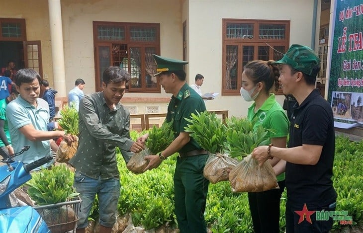 “Một triệu cây xanh” giúp người dân thoát nghèo - Ảnh 1.