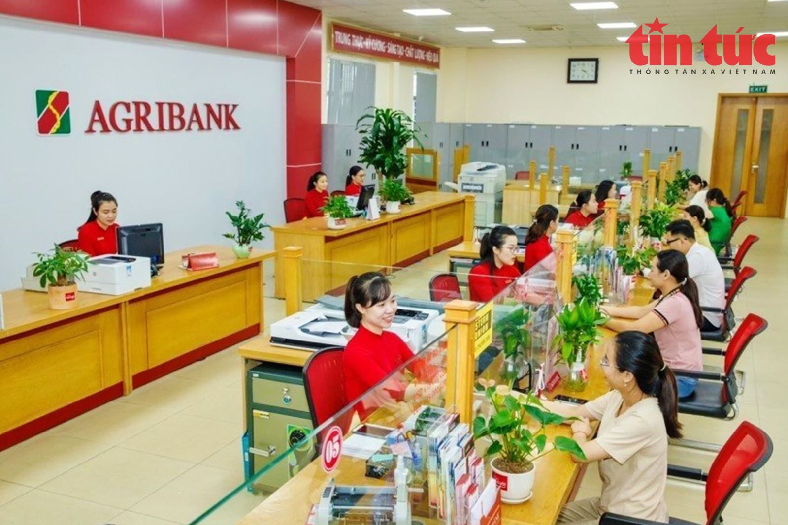 Hàng loạt giải pháp chống ế tiền - Ảnh 2. Hàng loạt giải pháp chống ế tiền - Ảnh 2.