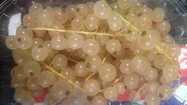 Ở nước ngoài là quả dại mọc bờ rào giá rẻ bèo, về Việt Nam có giá 2 triệu đồng/kg, không có hàng để bán - Ảnh 6. Ở nước ngoài là quả dại mọc bờ rào giá rẻ bèo, về Việt Nam có giá 2 triệu đồng/kg, không có hàng để bán - Ảnh 6.