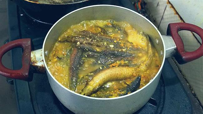 Ví như 'nhân sâm', giá 500.000 đồng/kg, được nhà giàu săn lùng, hóa ra là loài cá nổi tiếng này của miền Tây - Ảnh 9. Ví như 'nhân sâm', giá 500.000 đồng/kg, được nhà giàu săn lùng, hóa ra là loài cá nổi tiếng này của miền Tây - Ảnh 9.