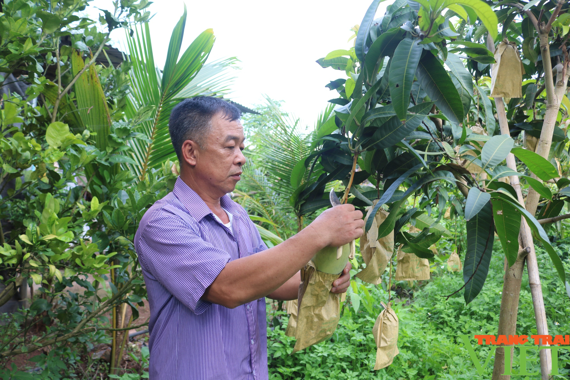Phát triển mô hình nông nghiệp hiệu quả, bền vững nâng cao thu nhập cho hội viên nông dân - Ảnh 3. Phát triển mô hình nông nghiệp hiệu quả, bền vững nâng cao thu nhập cho hội viên nông dân - Ảnh 3.