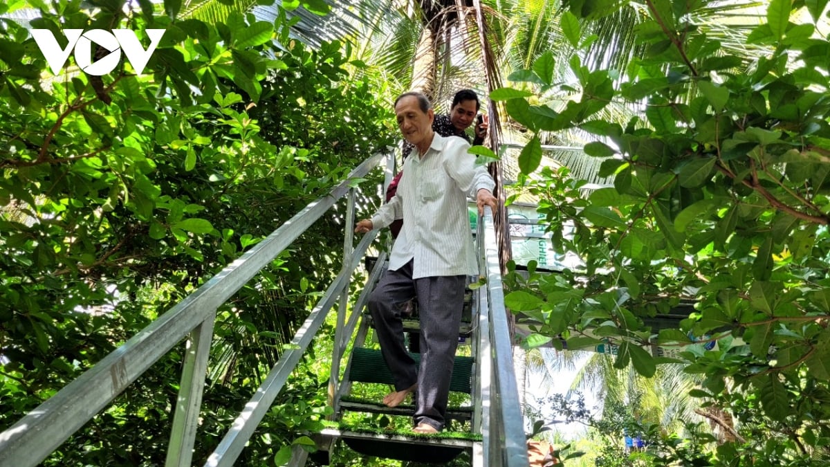 Những lão nông kiếm tiền tỷ ở Tiền Giang - Ảnh 2. Những lão nông kiếm tiền tỷ ở Tiền Giang - Ảnh 2.