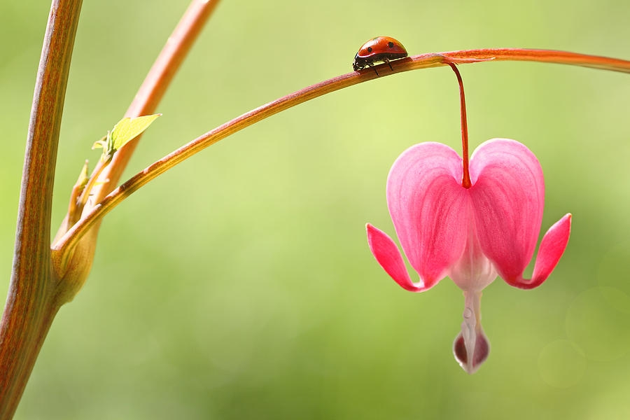 Vượt vũ môn thành công: Người sinh vào 4 ngày Âm lịch này dũng cảm tự dựng tương lai, về sau chẳng thiếu tiền xài - Ảnh 2.
