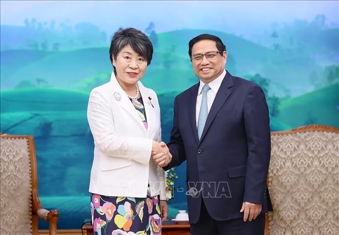 Việt - Nhật hội tụ đầy đủ các điều kiện để đưa quan hệ lên một tầm cao mới - Ảnh 2.
