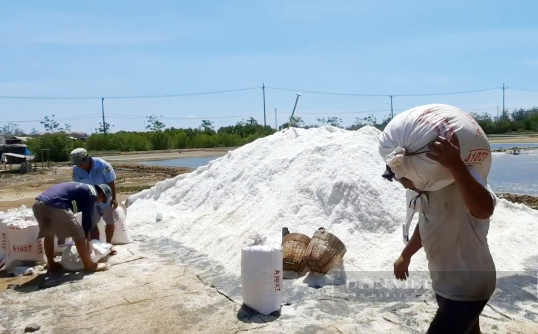 Diêm dân Làng muối Cần Giờ mong có hướng đi ổn định cho nghề làm muối - Ảnh 1.