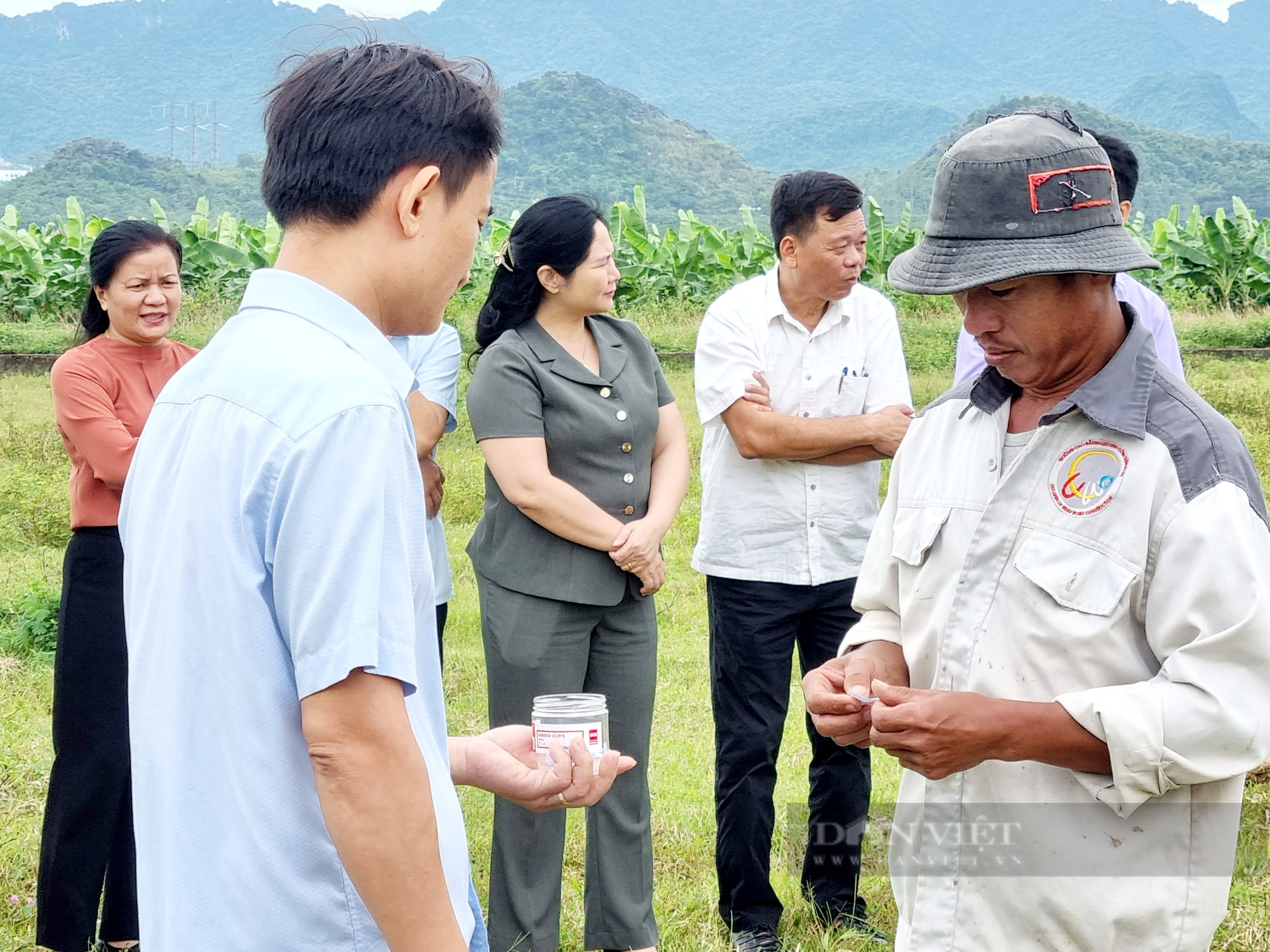 Ninh Bình: Trao bò giống cho người dân vùng dân tộc thiểu số và vùng núi - Ảnh 2.