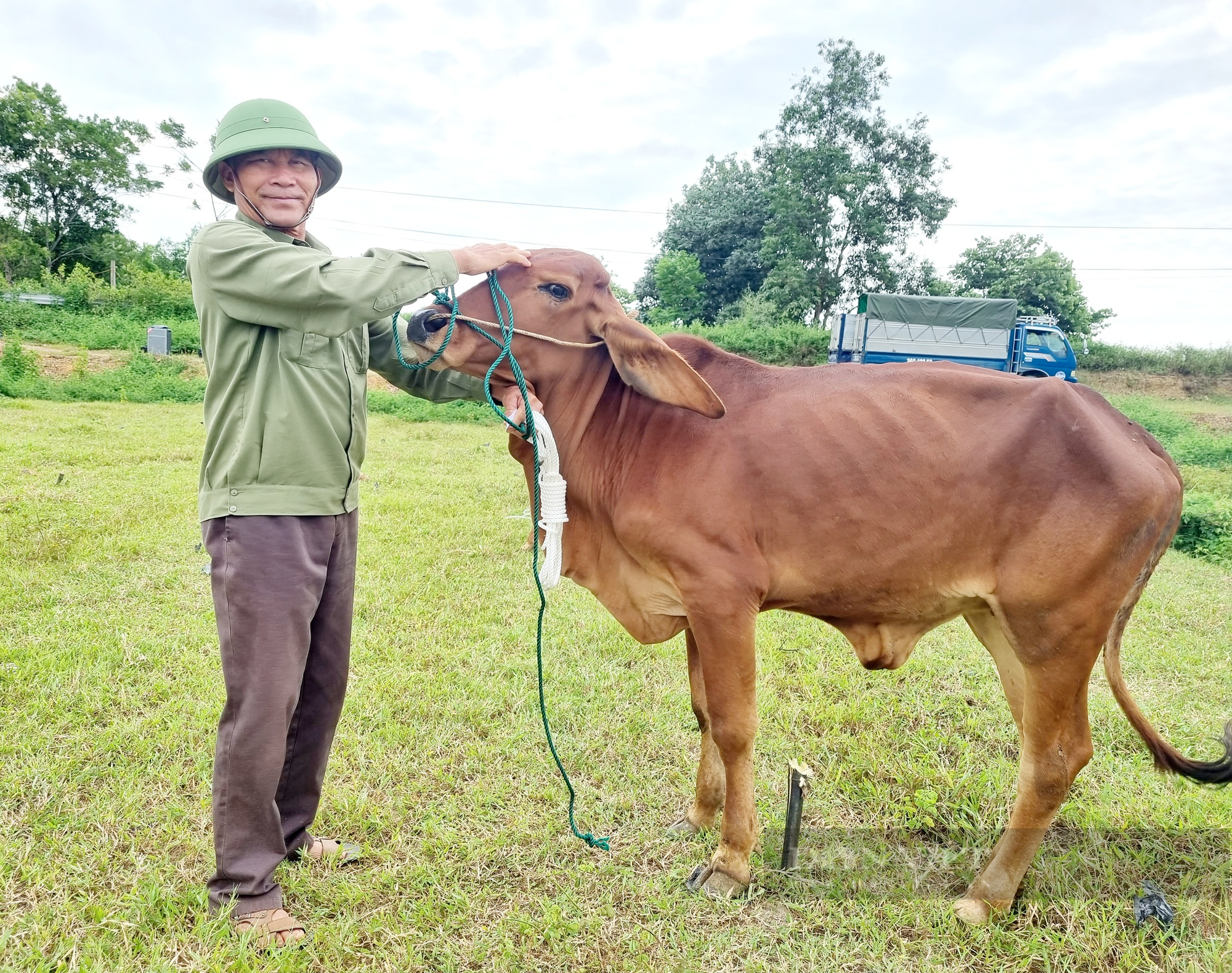 Ninh Bình: Trao bò giống cho người dân vùng dân tộc thiểu số và vùng núi - Ảnh 4.