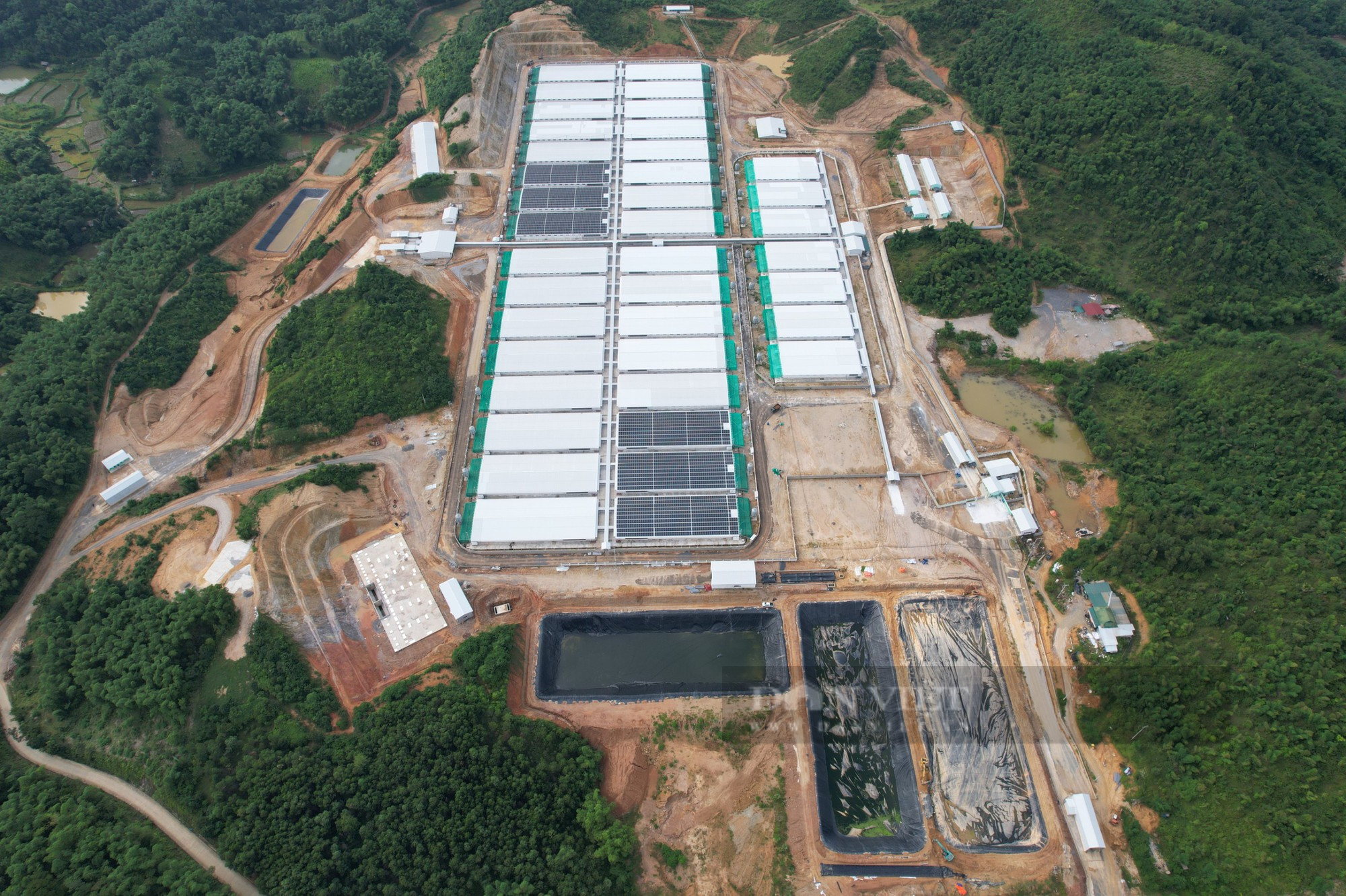 Thanh Hoá: Nuôi thử nghiệm không thông báo, trang trại lợn công nghệ cao bị rò rỉ hầm biogas, bốc mùi hôi thối - Ảnh 1.