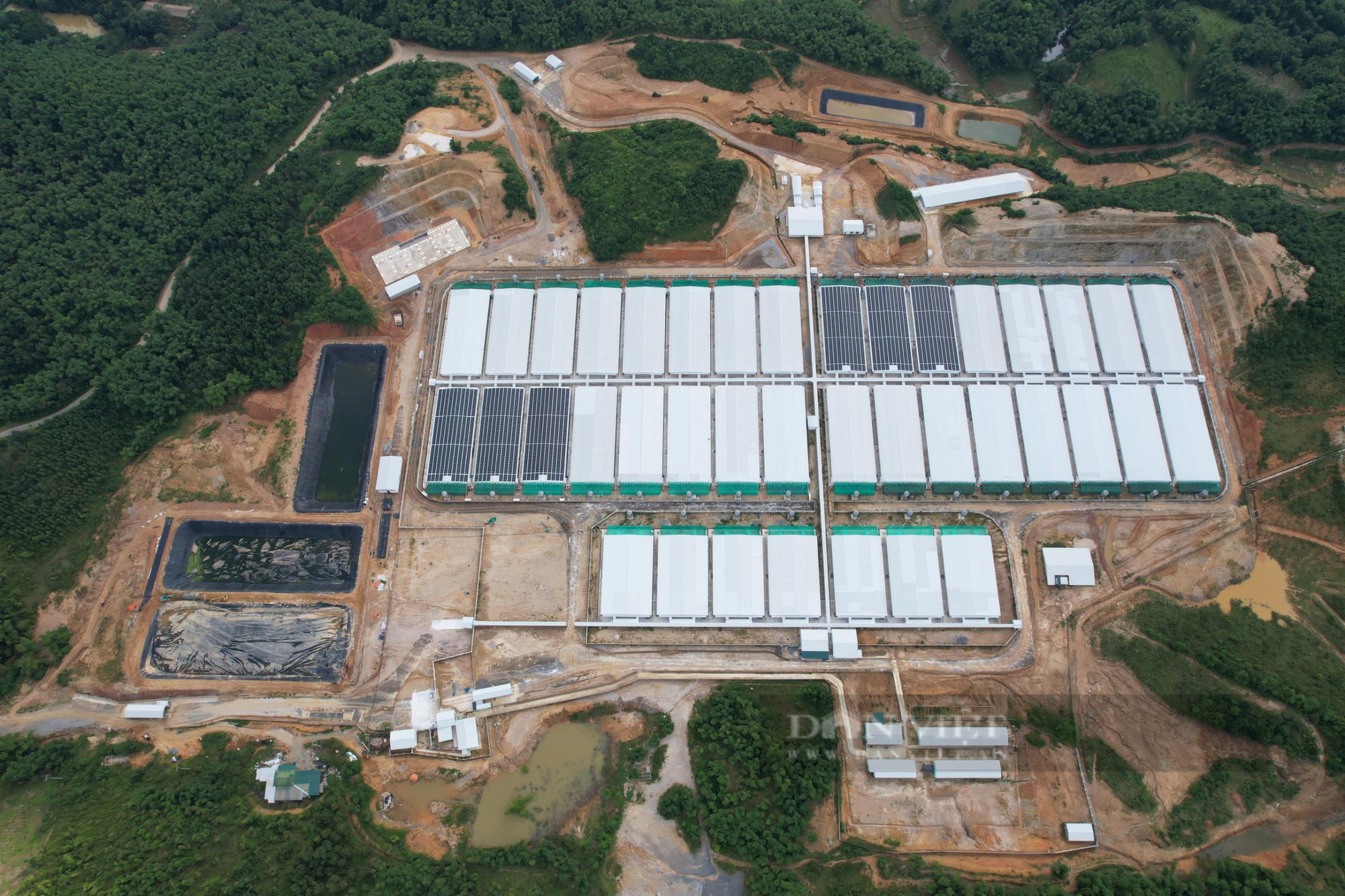 Thanh Hoá: Nuôi thử nghiệm không thông báo, trang trại lợn công nghệ cao bị rò rỉ hầm biogas, bốc mùi hôi thối - Ảnh 5.