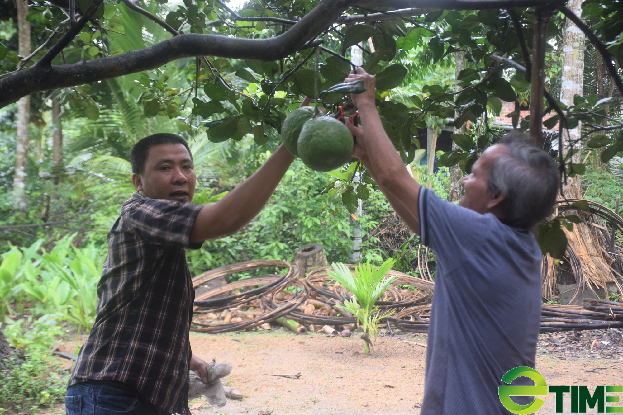 &quot;Chinh phục&quot; con đường hỗ trợ nông sản cho nông dân - Ảnh 5.