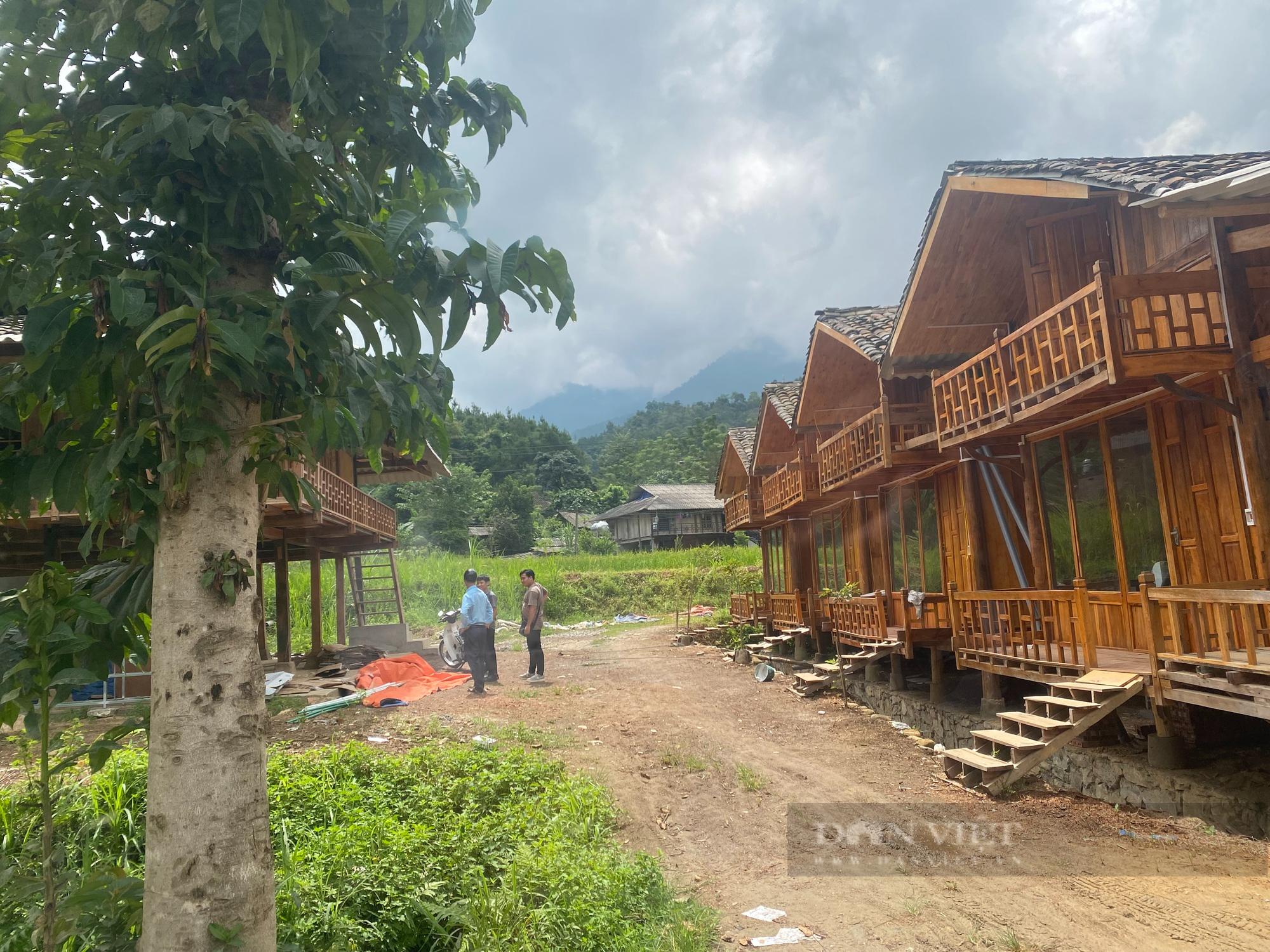 Bài 3: Phó Chủ tịch phụ trách du lịch bày cách phá hại di sản - Ảnh 1.