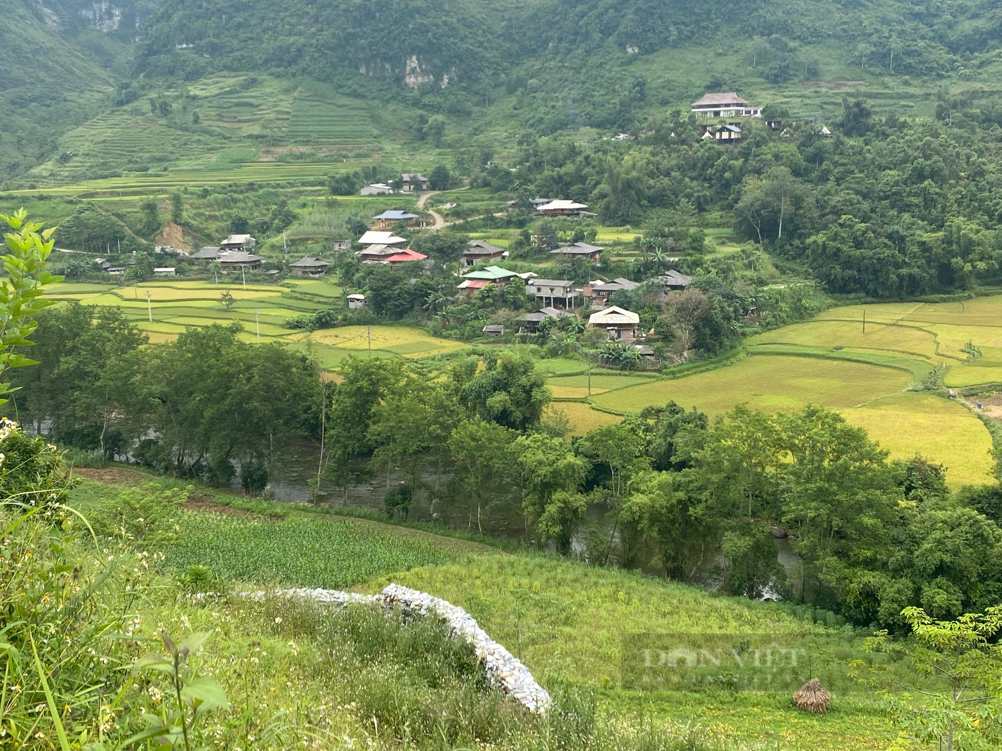 PCT Hiệp Hội du lịch Hà Giang: Du lịch tự phát là điều không thể tránh khỏi đối với nơi làm du lịch mới - Ảnh 3.