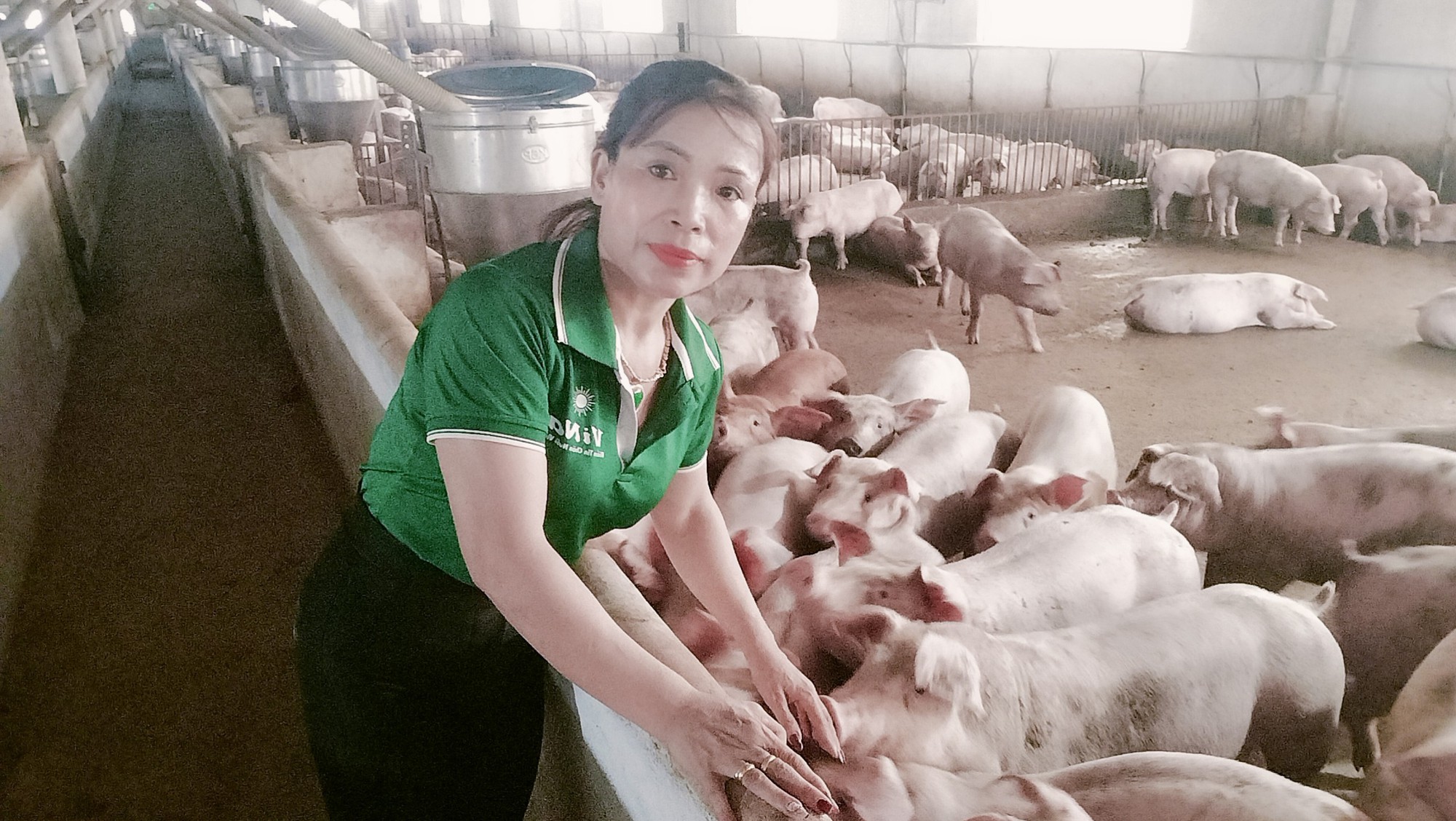 Bài 4: Gạt nước mắt, xây dựng trang trại tiền tỷ, rủ nhau làm nông nghiệp công nghệ cao  - Ảnh 1.