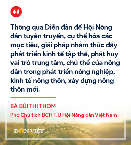 Người nông dân mới, Hợp tác xã kiểu mới-nhân tố quyết định thành tựu phát triển nông nghiệp, nông thôn - Ảnh 2.