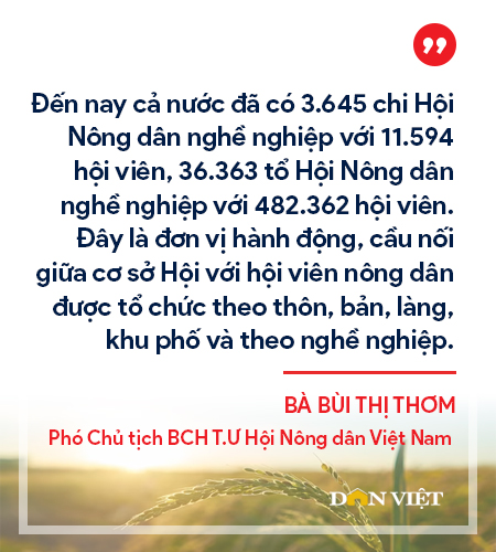 Người nông dân mới, Hợp tác xã kiểu mới-nhân tố quyết định thành tựu phát triển nông nghiệp, nông thôn - Ảnh 4.