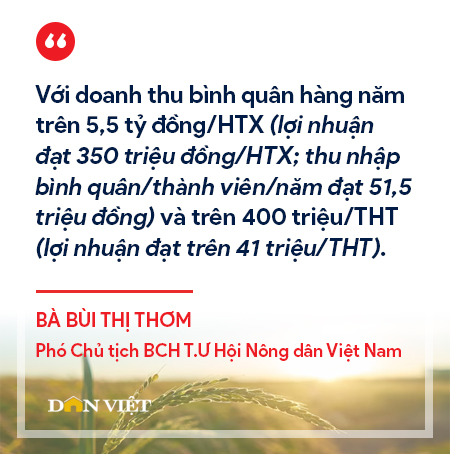 Người nông dân mới, Hợp tác xã kiểu mới-nhân tố quyết định thành tựu phát triển nông nghiệp, nông thôn - Ảnh 5.