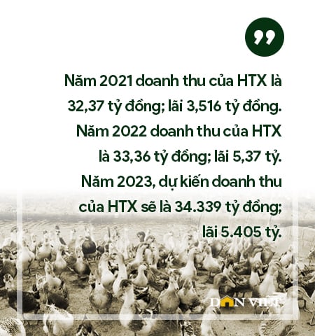 Những đầu tàu liên kết, &quot;kéo&quot; nông dân làm giàu: Chuyện giám đốc hợp tác xã làm thương hiệu (bài 3) - Ảnh 6.