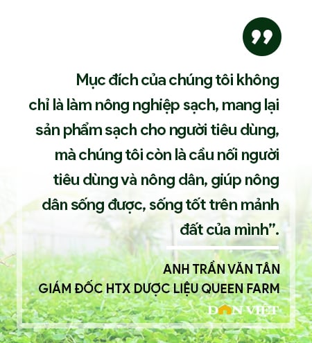 Những đầu tàu liên kết, &quot;kéo&quot; nông dân làm giàu: Chuyện giám đốc hợp tác xã làm thương hiệu (bài 3) - Ảnh 16.