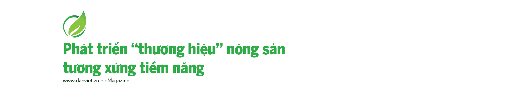 Những đầu tàu liên kết, &quot;kéo&quot; nông dân làm giàu: Chuyện giám đốc hợp tác xã làm thương hiệu (bài 3) - Ảnh 8.