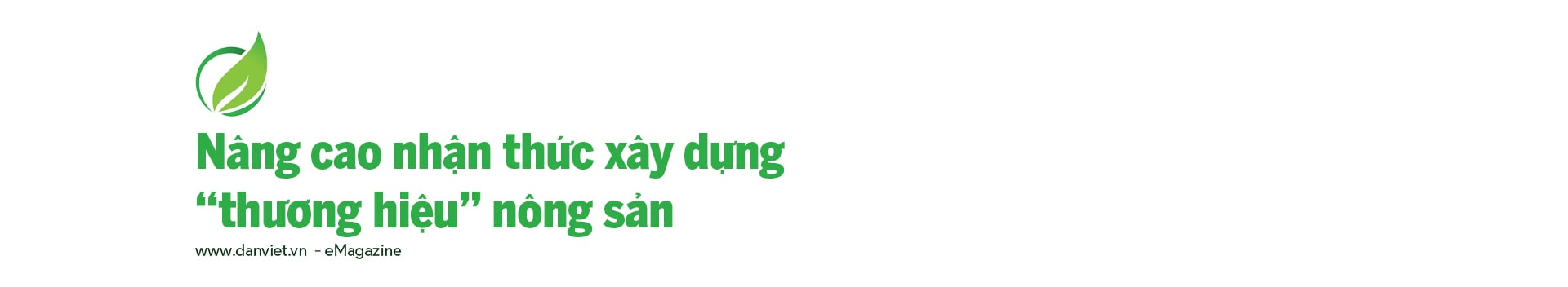 Những đầu tàu liên kết, &quot;kéo&quot; nông dân làm giàu: Chuyện giám đốc hợp tác xã làm thương hiệu (bài 3) - Ảnh 13.