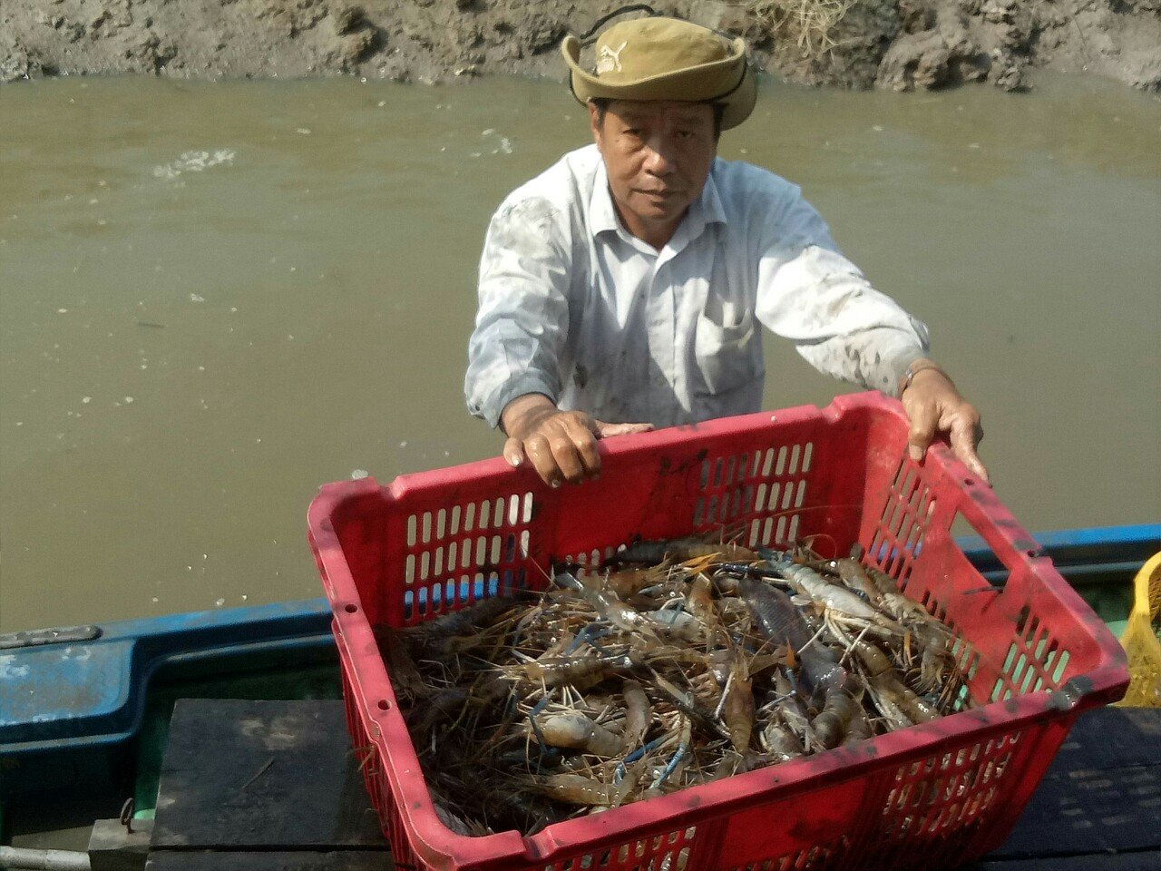 Hàng nghìn nông dân xứ rừng tràm U Minh Hạ thành công khi được chuyển giao khoa học kỹ thuật - Ảnh 1.