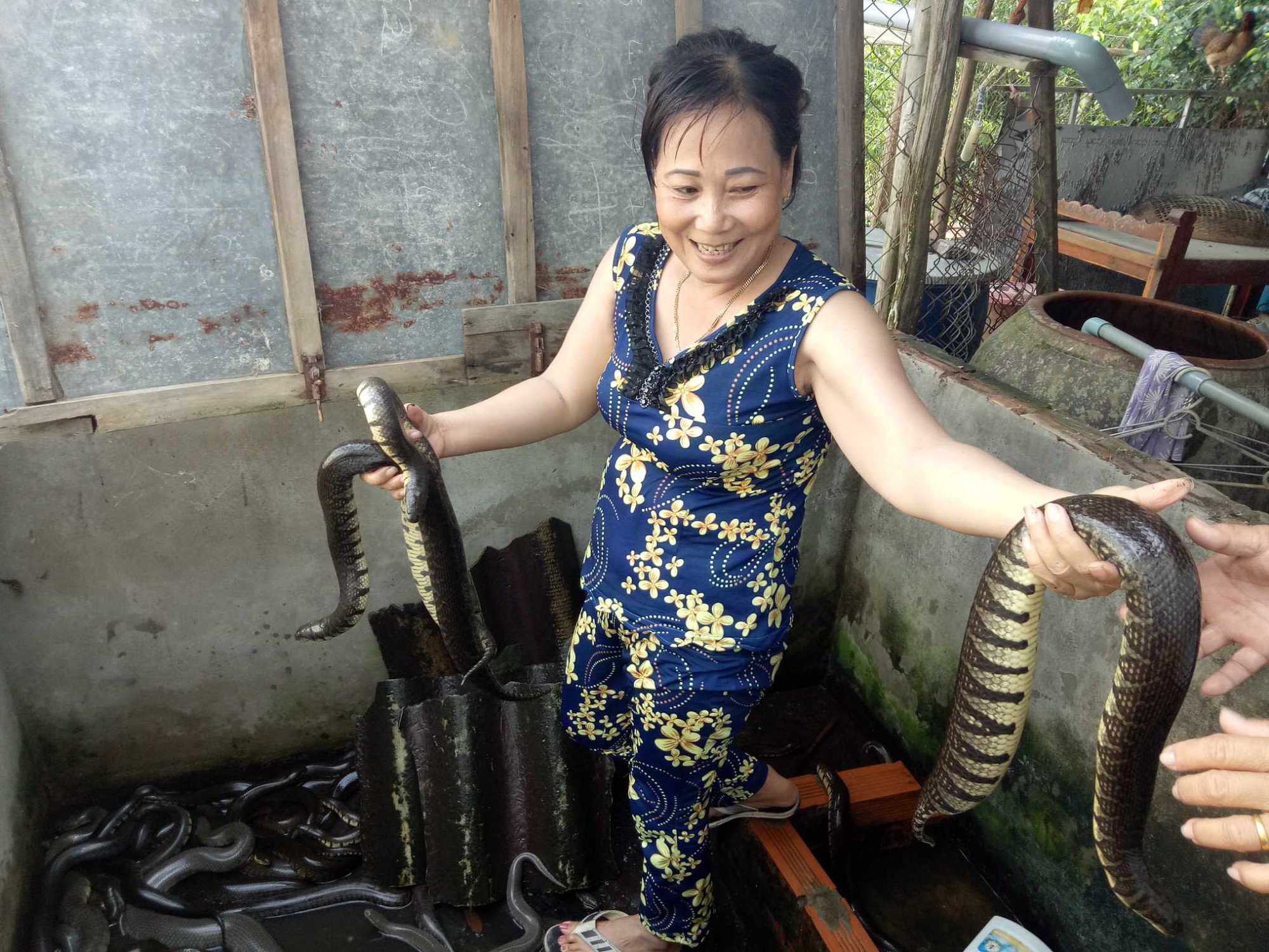 Ở xứ rừng tràm U Minh Hạ của Cà Mau, nông dân có thu nhập tốt hơn nhờ nuôi, trồng có khoa học kỹ thuật - Ảnh 4.