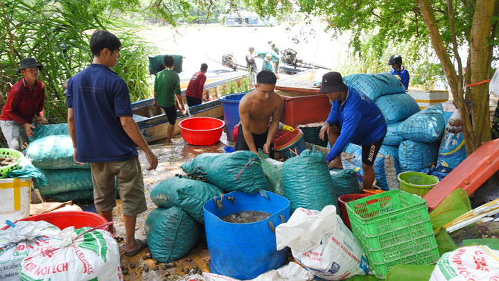 Sản vật mùa nước nổi An Giang, lũ thấp, có nơi vẫn tấp nập kẻ bán người mua - Ảnh 1.